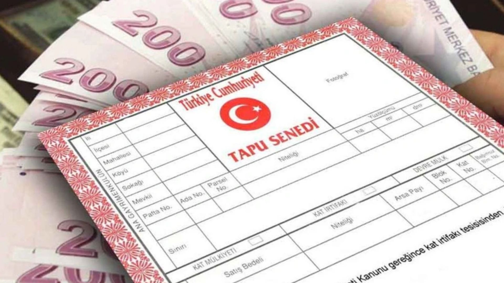 Hisseli Tapu Nedir, İşlemleri Nasıl Yapılır?